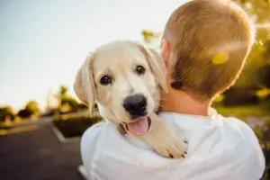 How to Prevent Aggressive and Reactive Behavior in Puppies