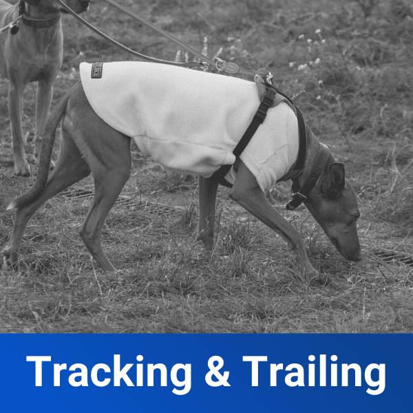 tracking and trailing