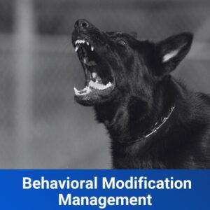 Behavioral Modification Management