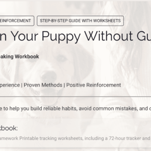 Potty Train Your Puppy Without Guesswork